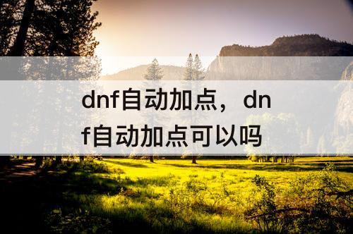 dnf自动加点，dnf自动加点可以吗