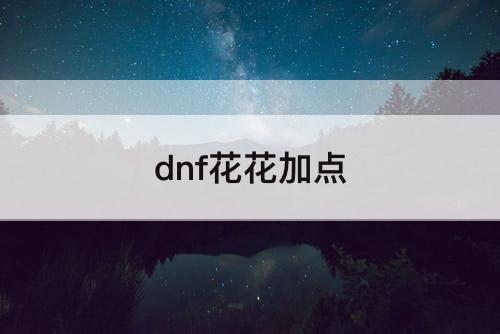 dnf花花加点
