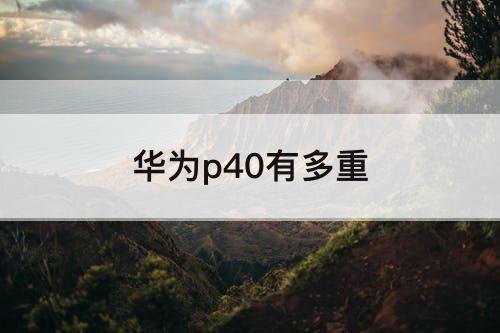华为p40有多重