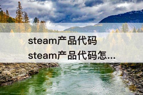 steam产品代码 steam产品代码怎么获得