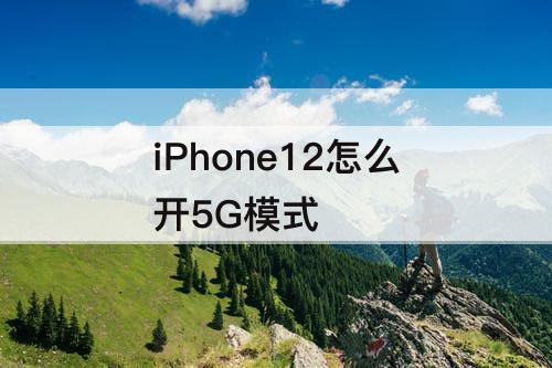 iPhone12怎么开5G模式