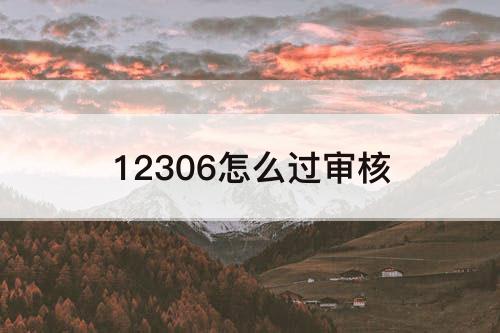 12306怎么过审核