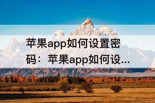 苹果app如何设置密码：苹果app如何设置密码打开