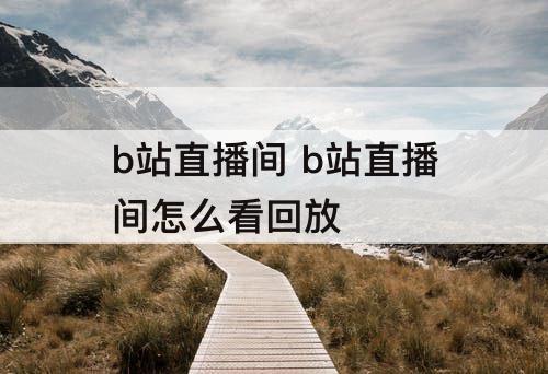 b站直播间 b站直播间怎么看回放