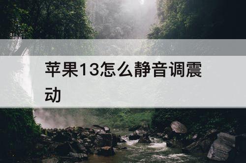 苹果13怎么静音调震动