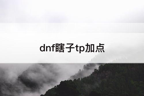 dnf瞎子tp加点