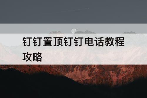 钉钉置顶钉钉电话教程攻略