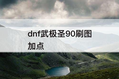dnf武极圣90刷图加点