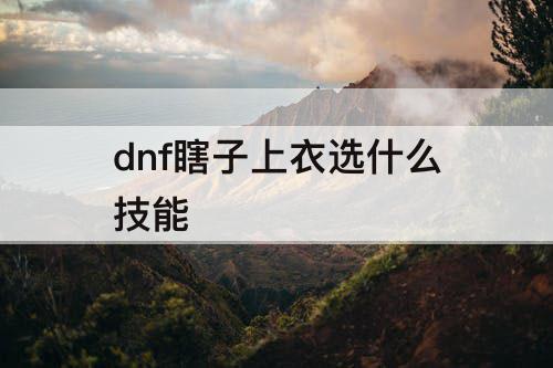 dnf瞎子上衣选什么技能