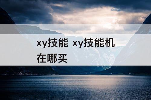 xy技能 xy技能机在哪买