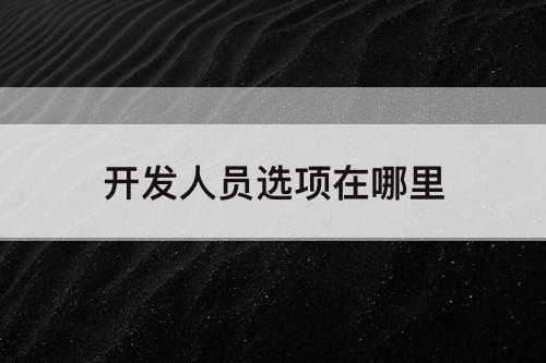 开发人员选项在哪里