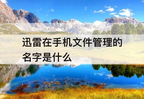 迅雷在手机文件管理的名字是什么