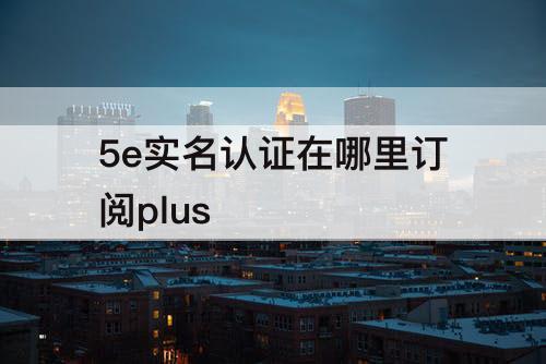 5e实名认证在哪里订阅plus