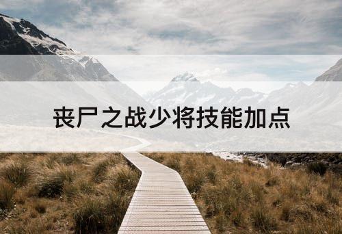 丧尸之战少将技能加点