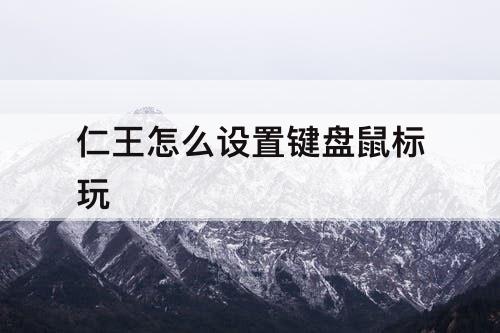 仁王怎么设置键盘鼠标玩