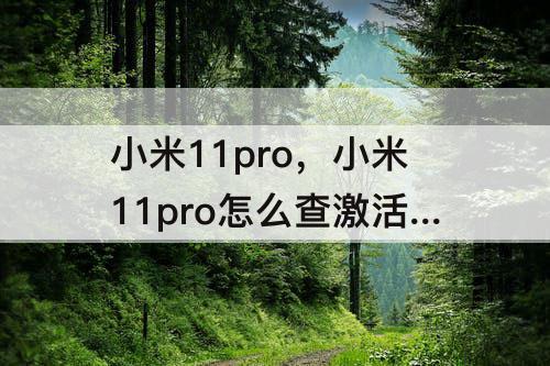 小米11pro，小米11pro怎么查激活日期