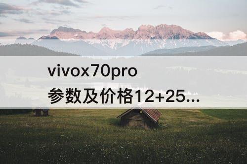 vivox70pro参数及价格12+256