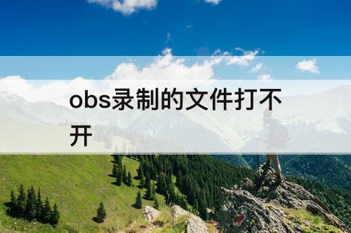 obs录制的文件打不开