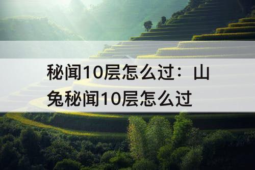 秘闻10层怎么过：山兔秘闻10层怎么过