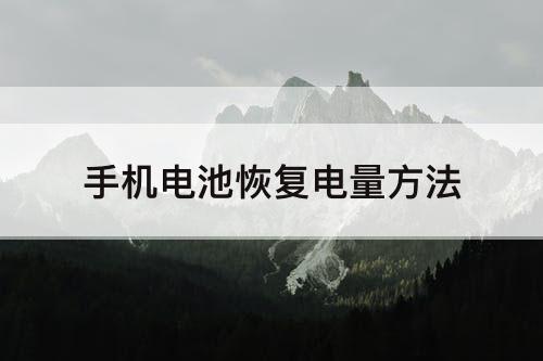 手机电池恢复电量方法