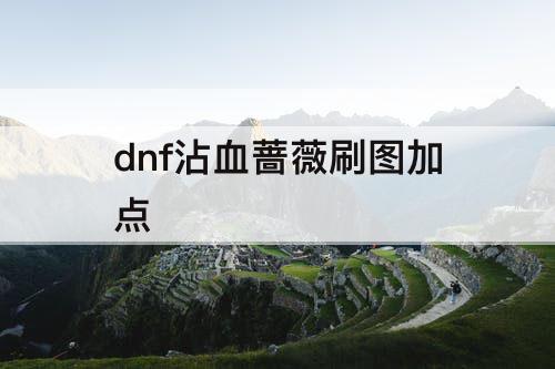 dnf沾血蔷薇刷图加点