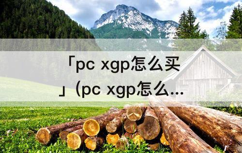 「pc xgp怎么买」(pc xgp怎么买便宜)