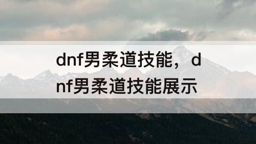 dnf男柔道技能，dnf男柔道技能展示