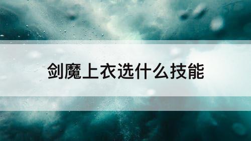 剑魔上衣选什么技能