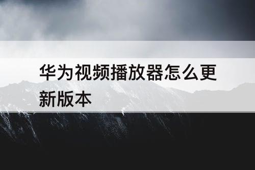 华为视频播放器怎么更新版本