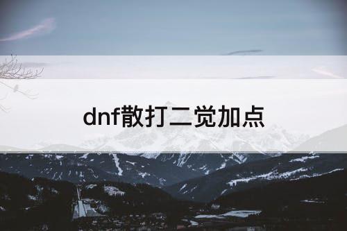 dnf散打二觉加点