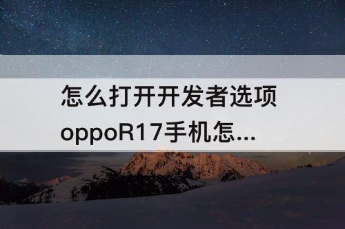 怎么打开开发者选项 oppoR17手机怎么打开开发者选项