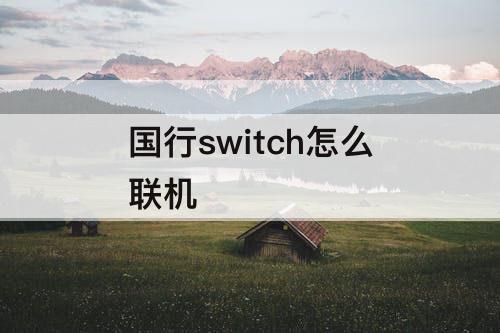 国行switch怎么联机