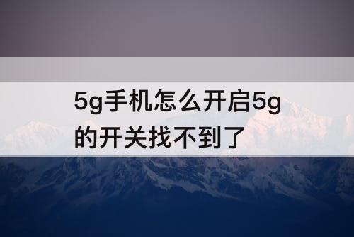 5g手机怎么开启5g的开关找不到了