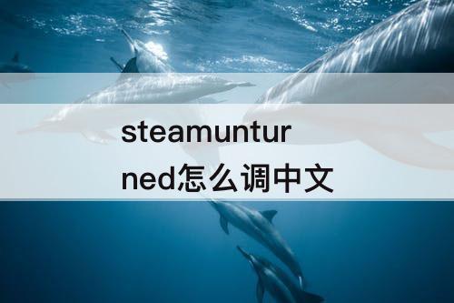 steamunturned怎么调中文