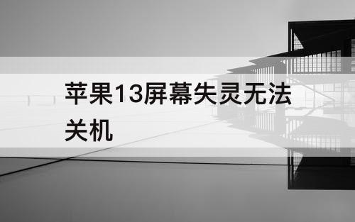 苹果13屏幕失灵无法关机