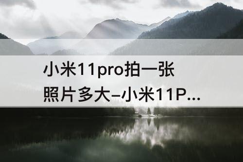 小米11pro拍一张照片多大-小米11Pro拍一张照片多大储存空间