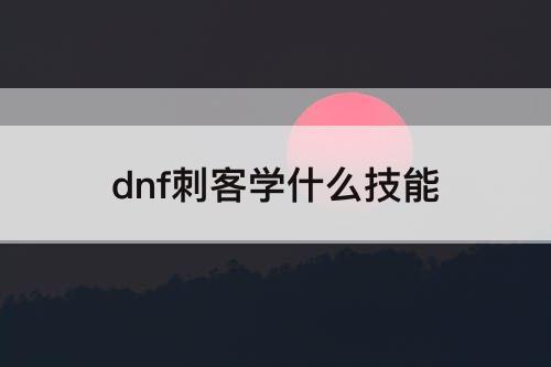 dnf刺客学什么技能