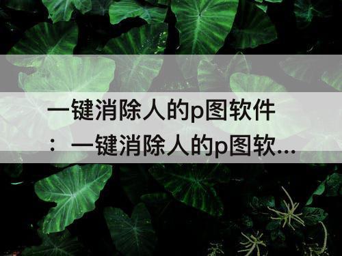 一键消除人的p图软件：一键消除人的p图软件下载