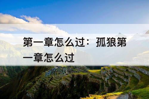 第一章怎么过：孤狼第一章怎么过