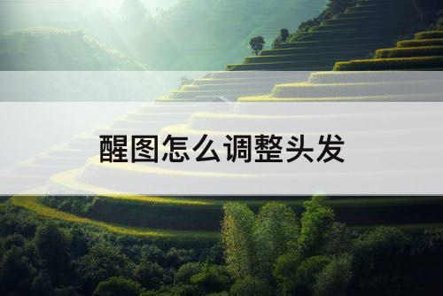 醒图怎么调整头发