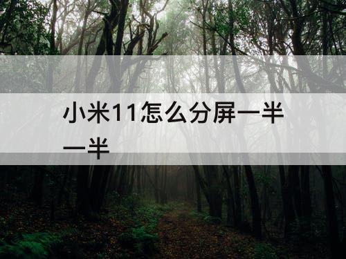 小米11怎么分屏一半一半