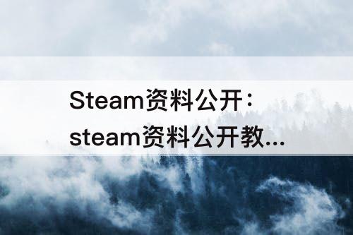 Steam资料公开：steam资料公开教程
