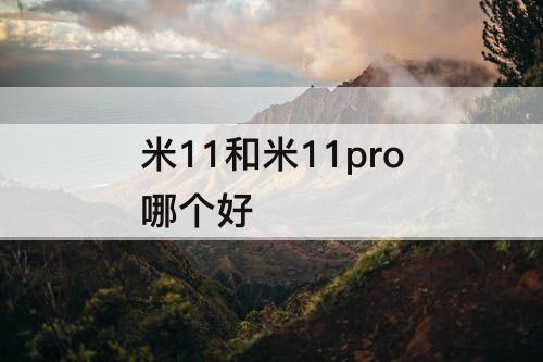 米11和米11pro哪个好