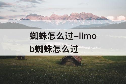 蜘蛛怎么过-limob蜘蛛怎么过
