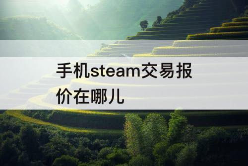 手机steam交易报价在哪儿