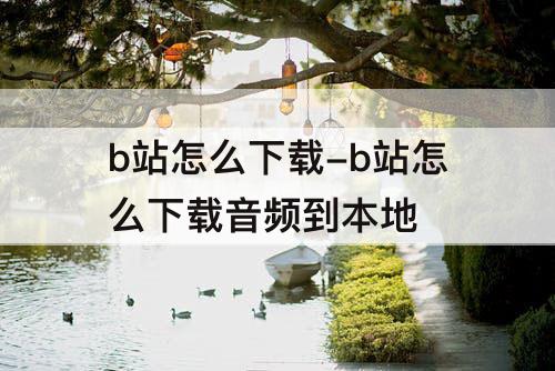 b站怎么下载-b站怎么下载音频到本地
