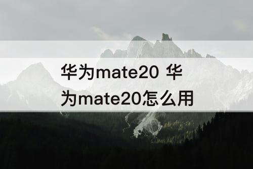 华为mate20 华为mate20怎么用