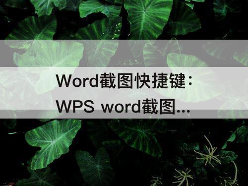 Word截图快捷键：WPS word截图快捷键