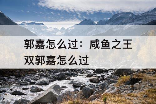 郭嘉怎么过：咸鱼之王双郭嘉怎么过