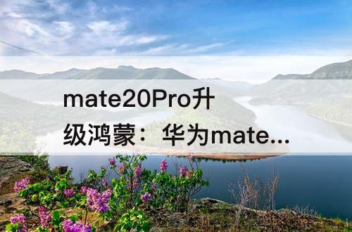 mate20Pro升级鸿蒙：华为mate20Pro升级鸿蒙系统找不到面部解锁